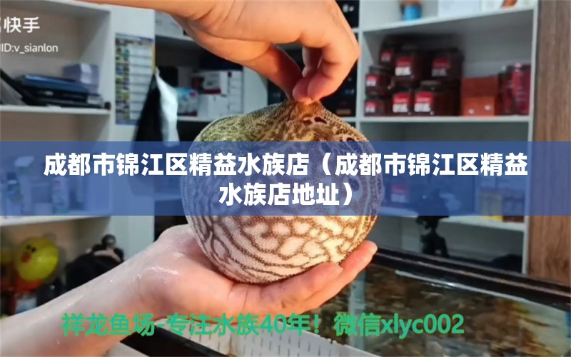 成都市錦江區(qū)精益水族店（成都市錦江區(qū)精益水族店地址） 全國水族館企業(yè)名錄