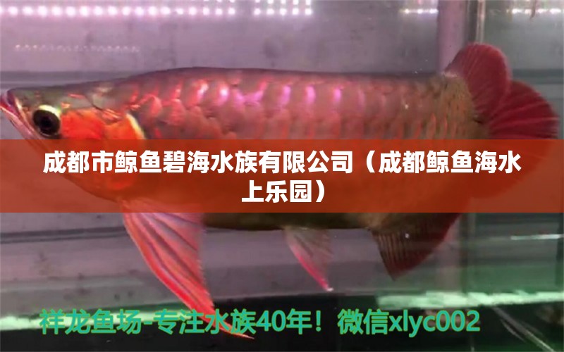 成都市鯨魚碧海水族有限公司（成都鯨魚海水上樂園）