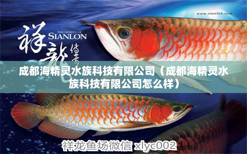 成都海精靈水族科技有限公司（成都海精靈水族科技有限公司怎么樣）