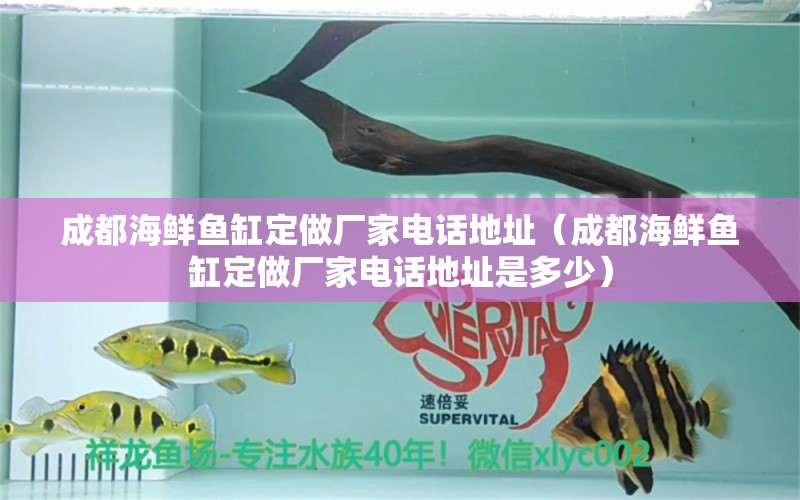 成都海鮮魚缸定做廠家電話地址（成都海鮮魚缸定做廠家電話地址是多少） 肺魚