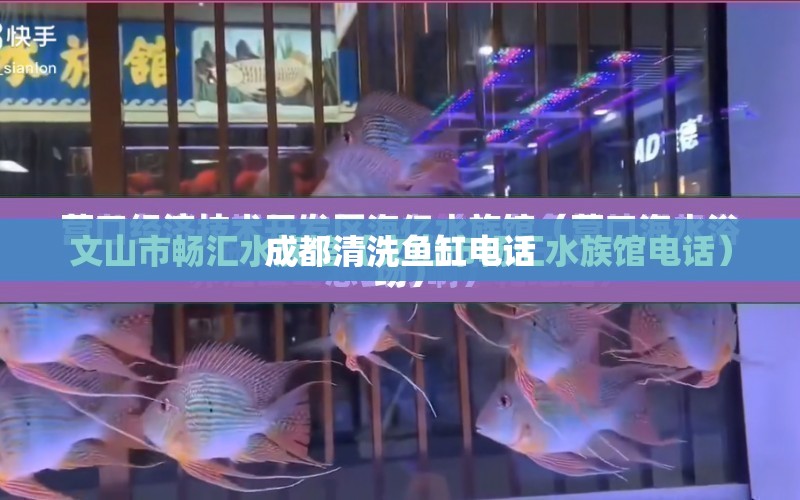 成都清洗魚缸電話 水族問答 第1張