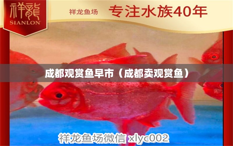 成都觀賞魚早市（成都賣觀賞魚）