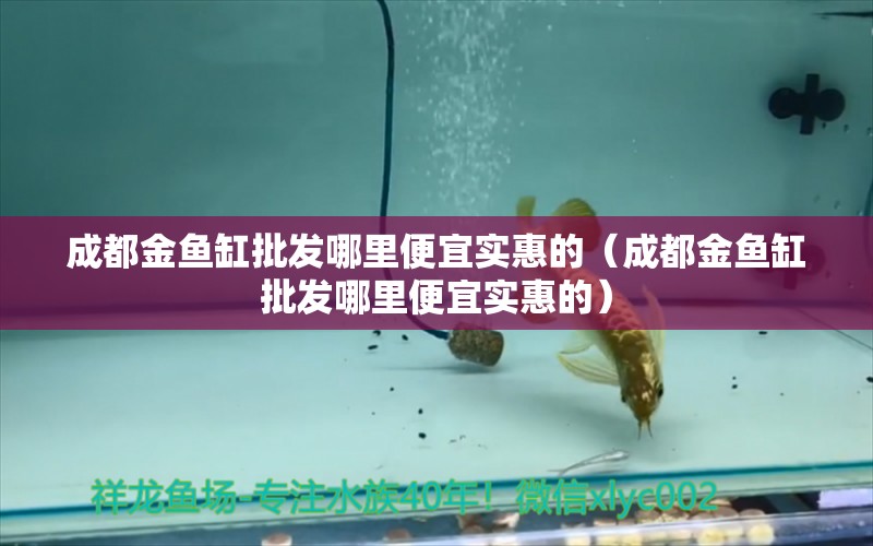 成都金魚缸批發(fā)哪里便宜實惠的（成都金魚缸批發(fā)哪里便宜實惠的） 祥龍水族醫(yī)院