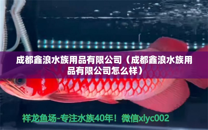 成都鑫浪水族用品有限公司（成都鑫浪水族用品有限公司怎么樣） 水族用品