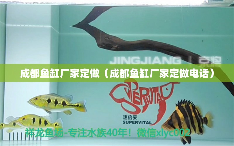 成都魚缸廠家定做（成都魚缸廠家定做電話）