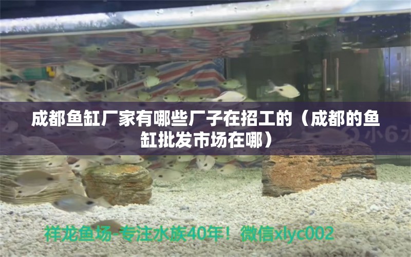 成都魚缸廠家有哪些廠子在招工的（成都的魚缸批發(fā)市場在哪）