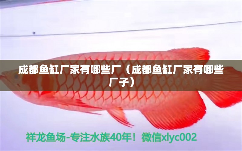 成都魚缸廠家有哪些廠（成都魚缸廠家有哪些廠子） 其他品牌魚缸