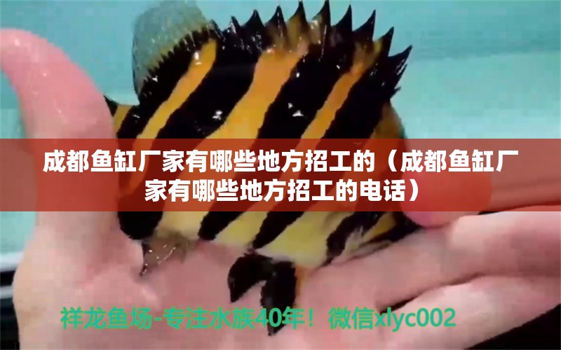 成都魚(yú)缸廠家有哪些地方招工的（成都魚(yú)缸廠家有哪些地方招工的電話(huà)）