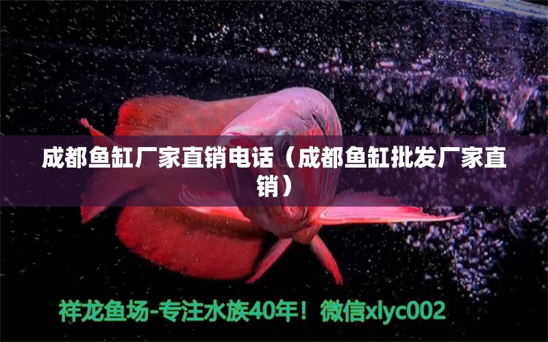 成都魚缸廠家直銷電話（成都魚缸批發(fā)廠家直銷） 巴西亞魚苗