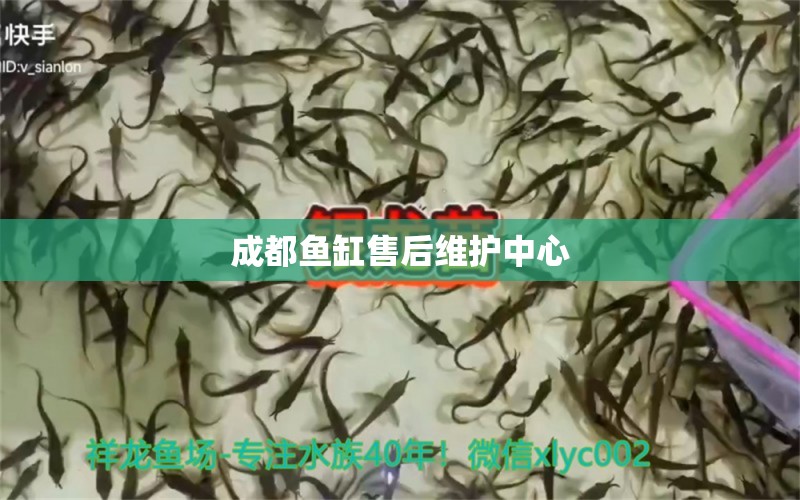 成都魚缸售后維護中心 其他品牌魚缸