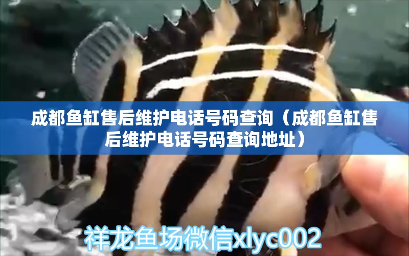 成都魚缸售后維護電話號碼查詢（成都魚缸售后維護電話號碼查詢地址） 其他品牌魚缸