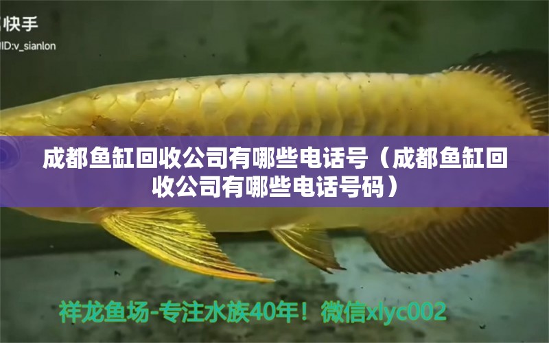 成都魚缸回收公司有哪些電話號（成都魚缸回收公司有哪些電話號碼）