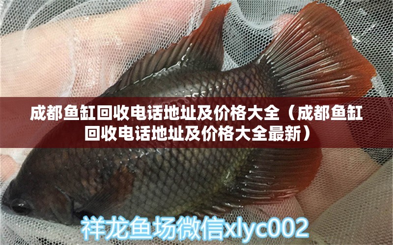 成都魚缸回收電話地址及價格大全（成都魚缸回收電話地址及價格大全最新）