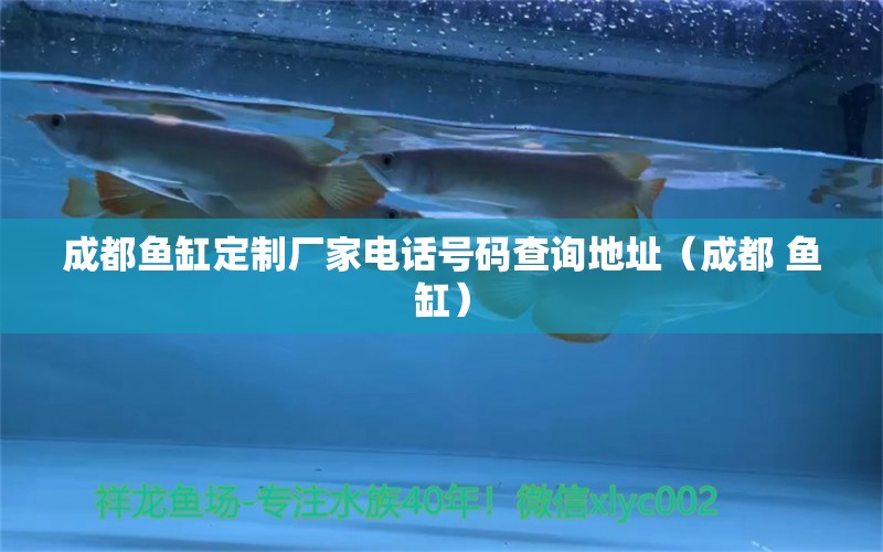 成都魚缸定制廠家電話號碼查詢地址（成都 魚缸）