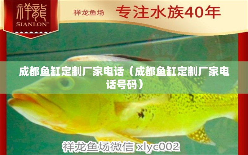 成都魚(yú)缸定制廠家電話(huà)（成都魚(yú)缸定制廠家電話(huà)號(hào)碼）