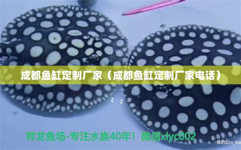 成都魚缸定制廠家（成都魚缸定制廠家電話） 其他品牌魚缸