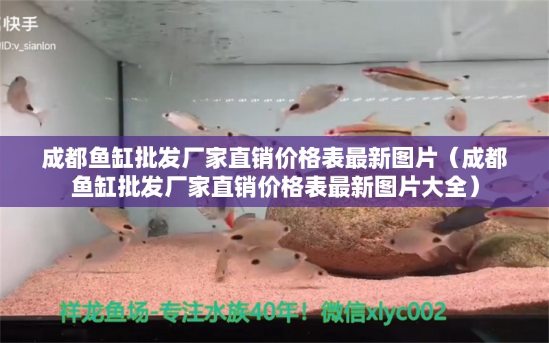 成都魚缸批發(fā)廠家直銷價格表最新圖片（成都魚缸批發(fā)廠家直銷價格表最新圖片大全） 觀賞魚市場（混養(yǎng)魚）