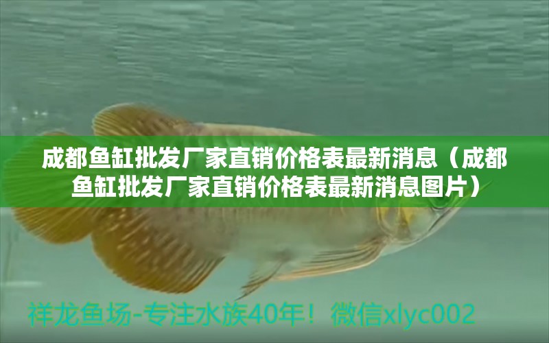 成都魚缸批發(fā)廠家直銷價格表最新消息（成都魚缸批發(fā)廠家直銷價格表最新消息圖片）