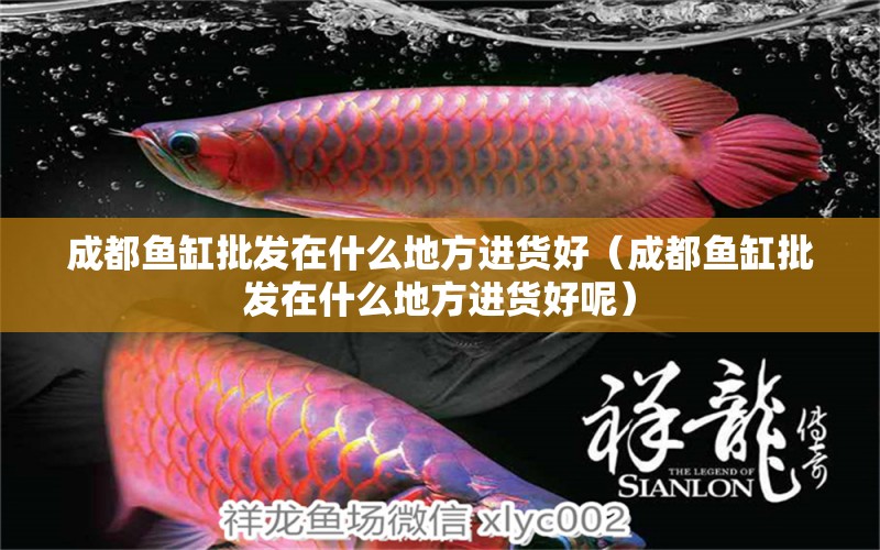 成都魚缸批發(fā)在什么地方進(jìn)貨好（成都魚缸批發(fā)在什么地方進(jìn)貨好呢）