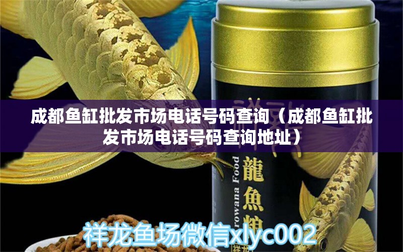 成都魚缸批發(fā)市場電話號碼查詢（成都魚缸批發(fā)市場電話號碼查詢地址） 黃金眼鏡蛇雷龍魚