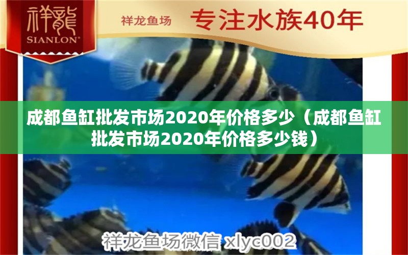 成都魚缸批發(fā)市場2020年價(jià)格多少（成都魚缸批發(fā)市場2020年價(jià)格多少錢） 鴨嘴鯊魚