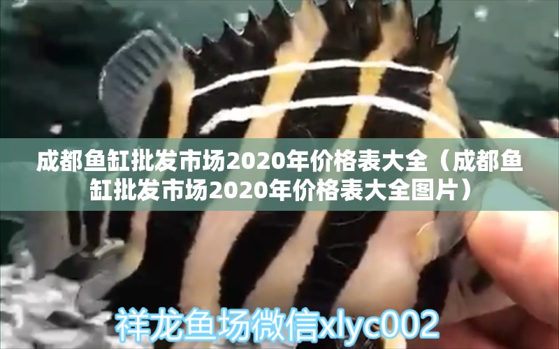 成都魚缸批發(fā)市場2020年價格表大全（成都魚缸批發(fā)市場2020年價格表大全圖片）