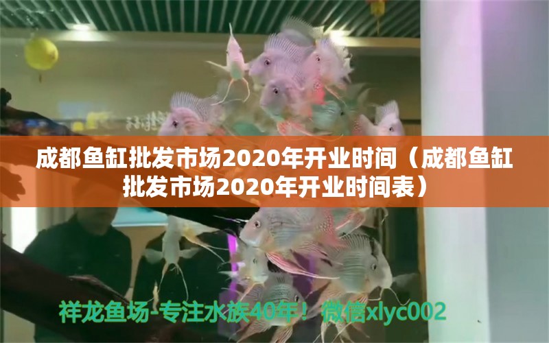 成都魚缸批發(fā)市場(chǎng)2020年開業(yè)時(shí)間（成都魚缸批發(fā)市場(chǎng)2020年開業(yè)時(shí)間表） 觀賞魚市場(chǎng)（混養(yǎng)魚）