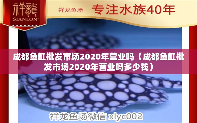 成都魚(yú)缸批發(fā)市場(chǎng)2020年?duì)I業(yè)嗎（成都魚(yú)缸批發(fā)市場(chǎng)2020年?duì)I業(yè)嗎多少錢）