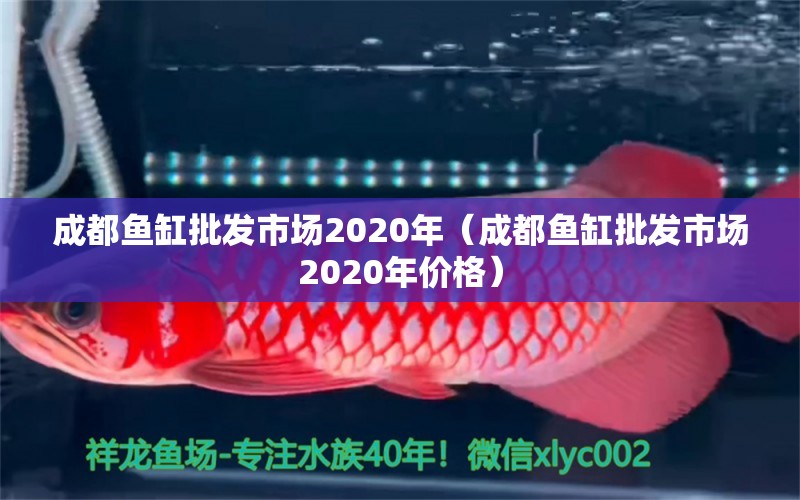 成都魚(yú)缸批發(fā)市場(chǎng)2020年（成都魚(yú)缸批發(fā)市場(chǎng)2020年價(jià)格）