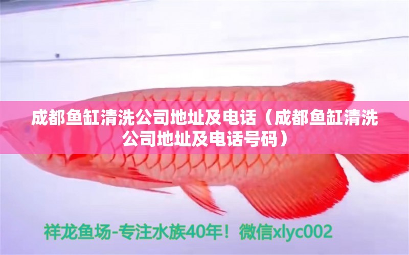 成都魚(yú)缸清洗公司地址及電話(huà)（成都魚(yú)缸清洗公司地址及電話(huà)號(hào)碼） 祥龍水族醫(yī)院