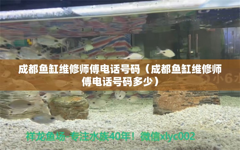 成都魚(yú)缸維修師傅電話號(hào)碼（成都魚(yú)缸維修師傅電話號(hào)碼多少）