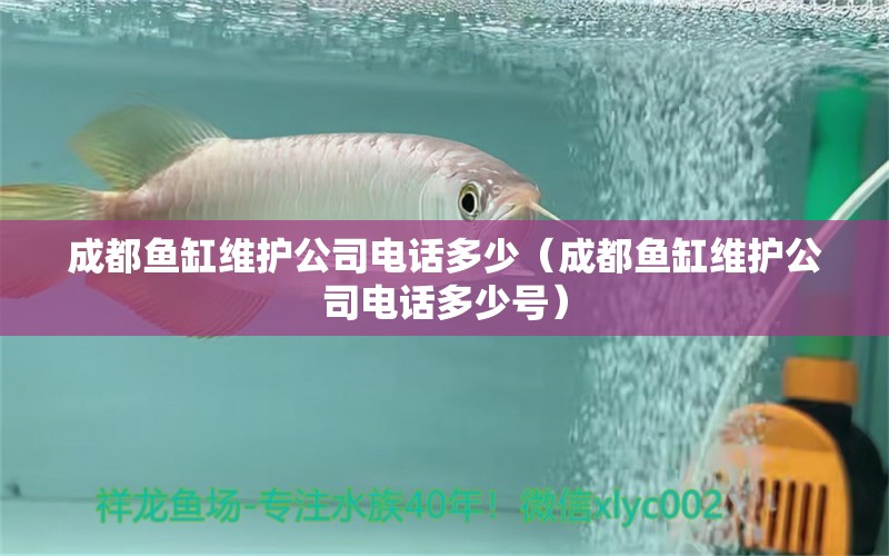 成都魚缸維護(hù)公司電話多少（成都魚缸維護(hù)公司電話多少號）