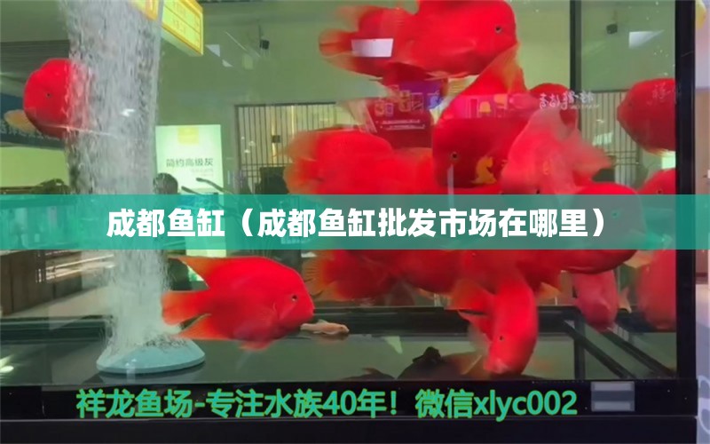 成都魚缸（成都魚缸批發(fā)市場在哪里）