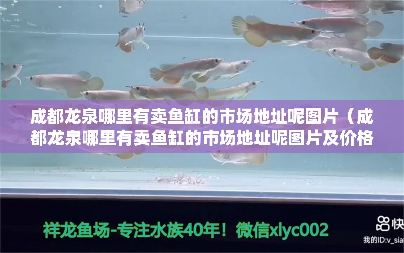 成都龍泉哪里有賣魚缸的市場地址呢圖片（成都龍泉哪里有賣魚缸的市場地址呢圖片及價格）