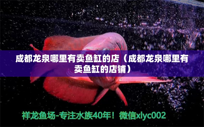 成都龍泉哪里有賣魚缸的店（成都龍泉哪里有賣魚缸的店鋪）