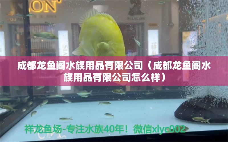 成都龍魚閣水族用品有限公司（成都龍魚閣水族用品有限公司怎么樣）