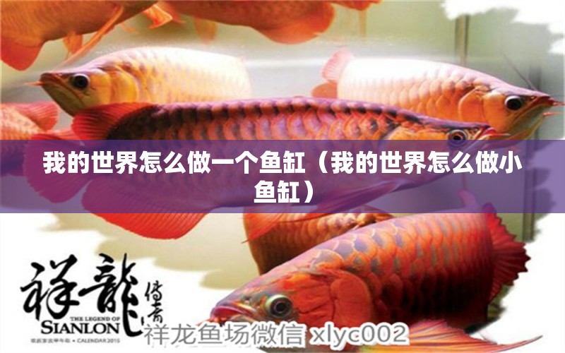 我的世界怎么做一個魚缸（我的世界怎么做小魚缸）