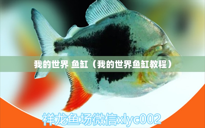 我的世界 魚(yú)缸（我的世界魚(yú)缸教程）