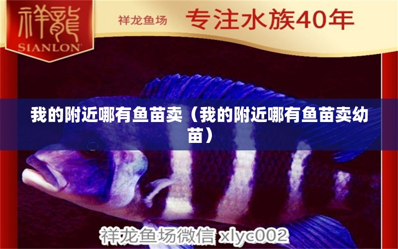 我的附近哪有魚苗賣（我的附近哪有魚苗賣幼苗） 紅龍魚魚糧飼料