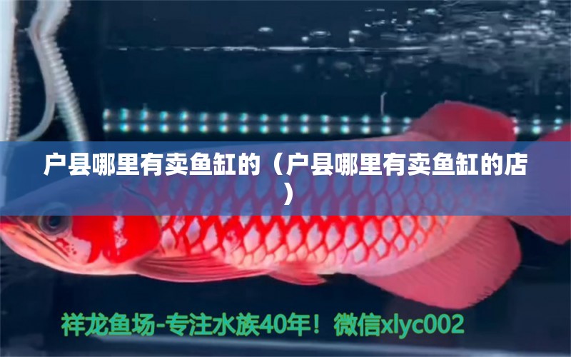 戶縣哪里有賣魚缸的（戶縣哪里有賣魚缸的店） 水族世界