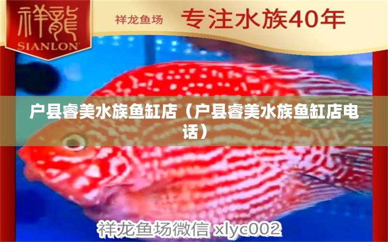 戶縣睿美水族魚缸店（戶縣睿美水族魚缸店電話） 全國水族館企業(yè)名錄