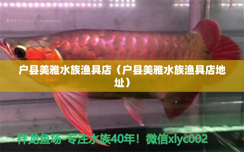 戶縣美雅水族漁具店（戶縣美雅水族漁具店地址） 全國(guó)水族館企業(yè)名錄