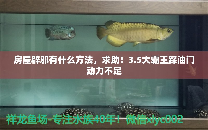 房屋辟邪有什么方法，求助！3.5大霸王踩油門動力不足 觀賞魚