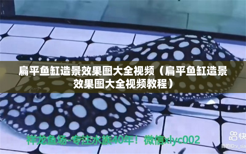 扁平魚缸造景效果圖大全視頻（扁平魚缸造景效果圖大全視頻教程） 祥龍水族護(hù)理水