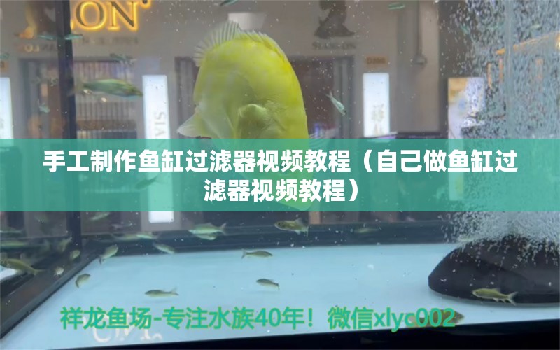 手工制作魚缸過濾器視頻教程（自己做魚缸過濾器視頻教程）