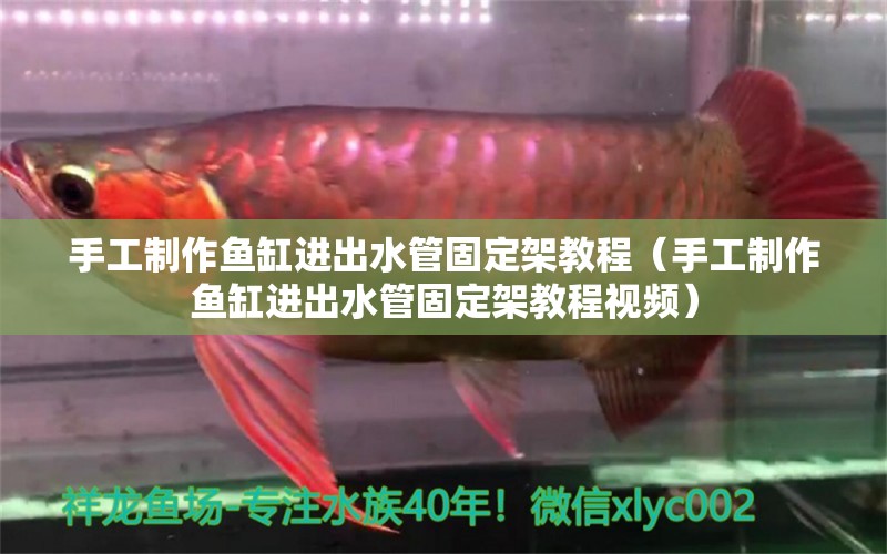 手工制作魚缸進(jìn)出水管固定架教程（手工制作魚缸進(jìn)出水管固定架教程視頻） 祥龍水族醫(yī)院