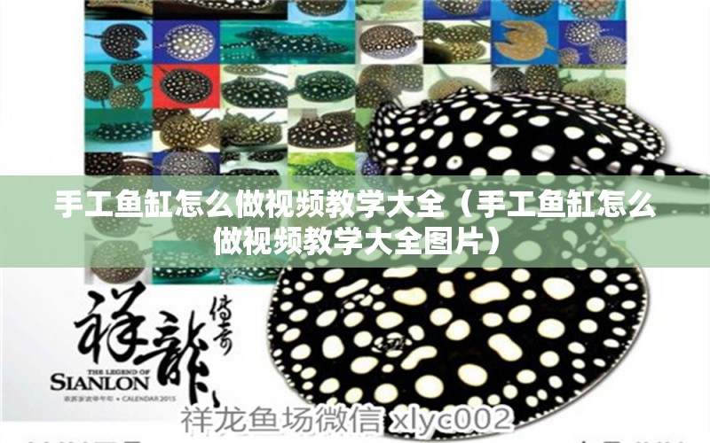 手工魚(yú)缸怎么做視頻教學(xué)大全（手工魚(yú)缸怎么做視頻教學(xué)大全圖片）