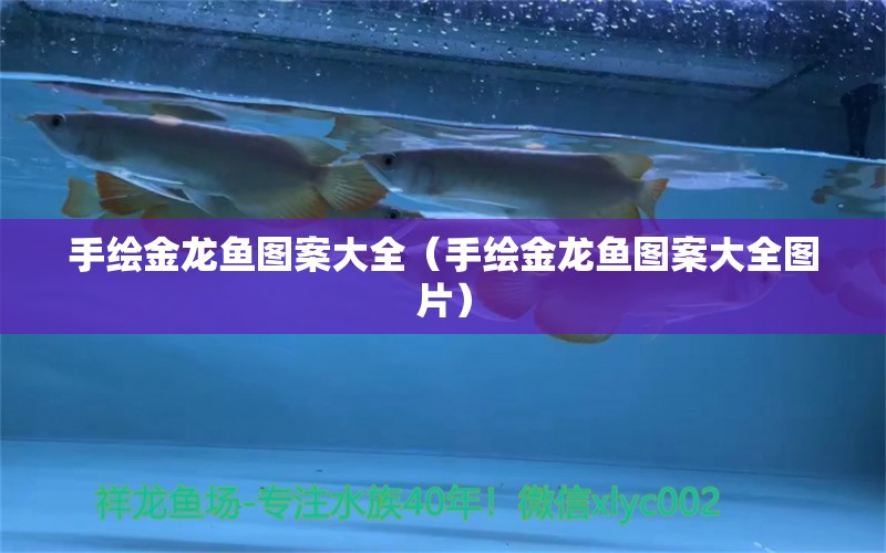 手繪金龍魚圖案大全（手繪金龍魚圖案大全圖片）