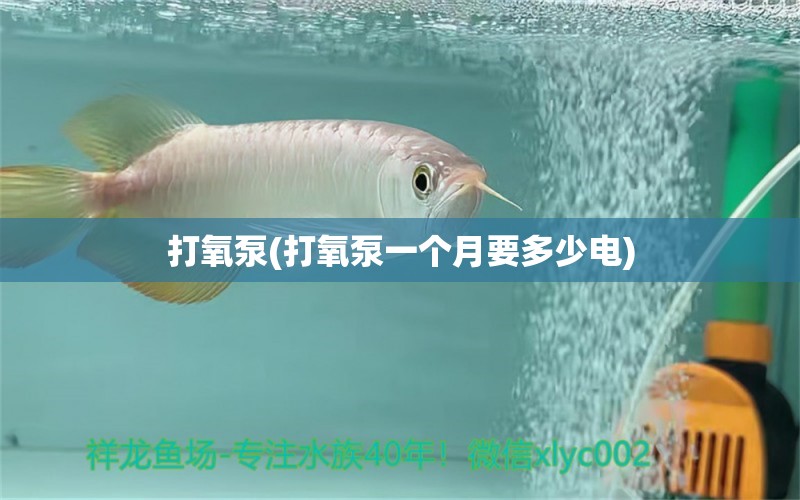 打氧泵(打氧泵一個(gè)月要多少電) 白寫錦鯉魚 第1張