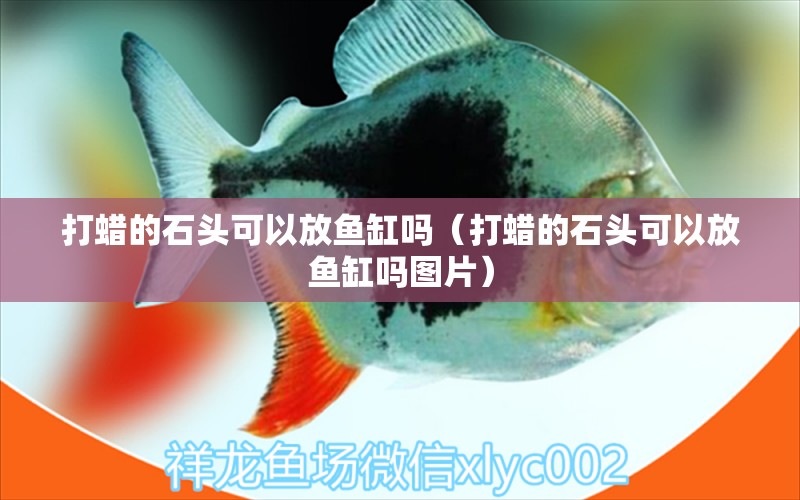 打蠟的石頭可以放魚缸嗎（打蠟的石頭可以放魚缸嗎圖片） 水溫計 第1張